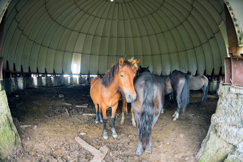 Secure Your Farm with Wireless Security Cameras Without WiFi