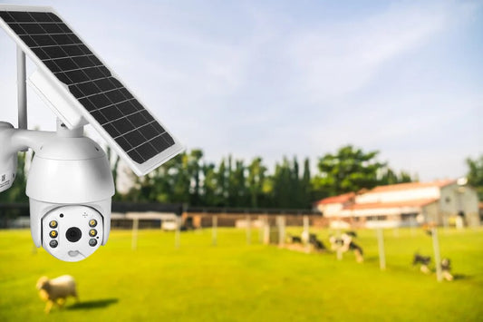 Guardians of Your Peace of Mind: AnywhereCam’s Impact on Personal Safety
